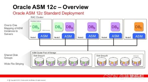 Oracle自动存储管理 (ASM) 的数据处理与存储支持服务深度解析